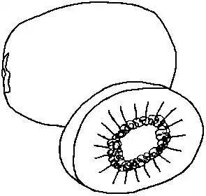 猕猴桃简笔画 猕猴桃简笔画图片