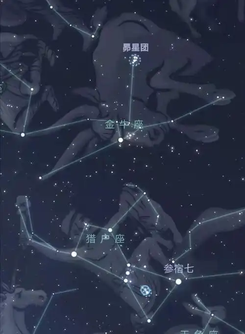 金牛座眨眨眼,陪你一起迎接牛年