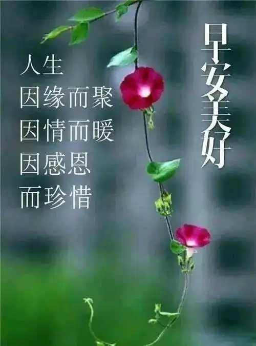 群发冬天暖心问候短信大全,送朋友的温馨早安问候句子