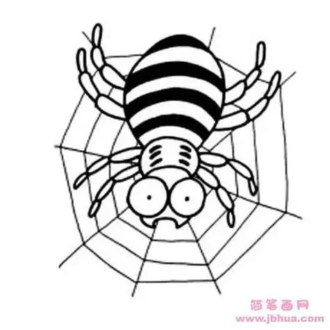 蜘蛛的简笔画蜘蛛的简笔画法图片