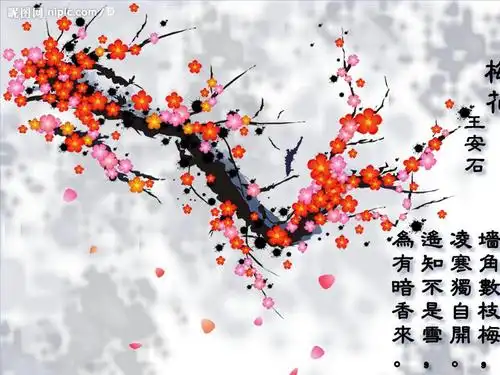 卜算子咏梅使用答案.ppt