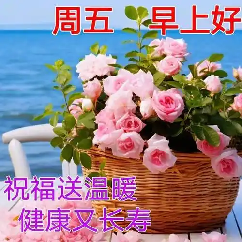 8月25日周五早上好,唯美祝福语图片带字_平安_生活_宁静