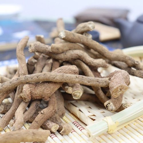 中药材青木香 青藤香 马兜铃根 土青木香 独行根蛇参根天仙藤根