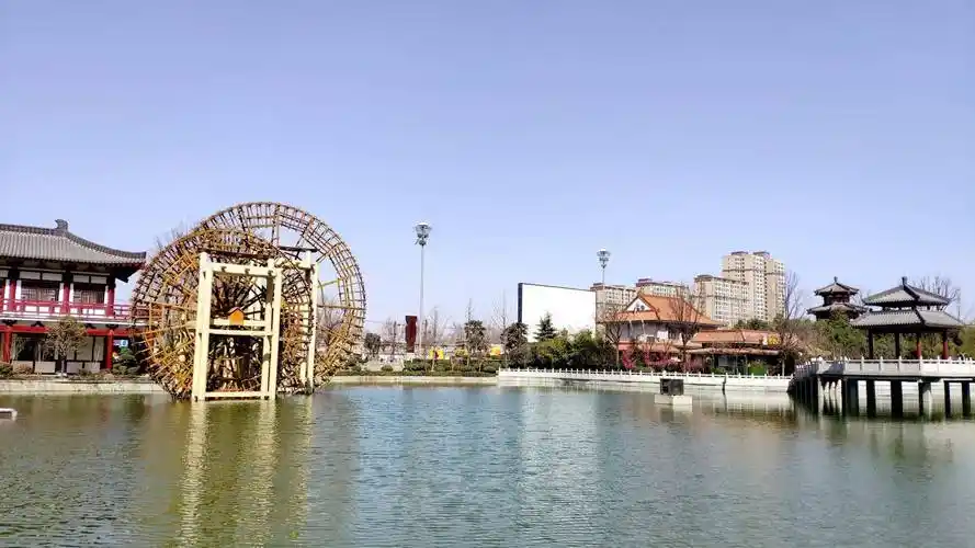 咸阳市泾阳县山茱萸花迎春怒放