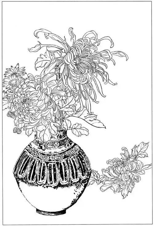 菊花白描24幅,收藏了!