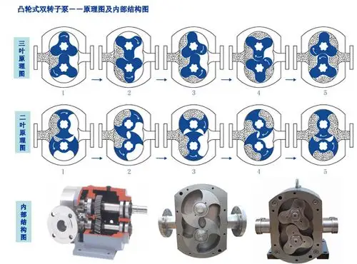 北京转子泵厂家 二叶转子泵 安徽凸轮转子泵 琼