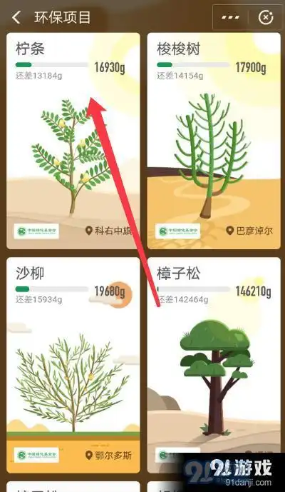 蚂蚁森林新品种柠条种法条件是什么 新品种柠条种法要求详情解析