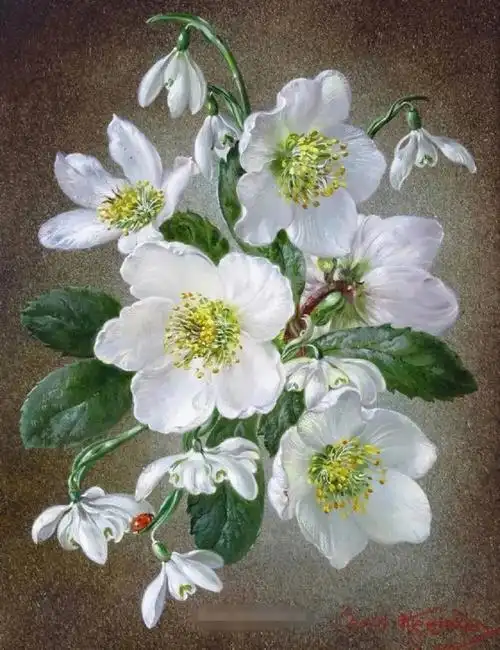 分享世界名画花卉塞西尔肯尼迪春之花