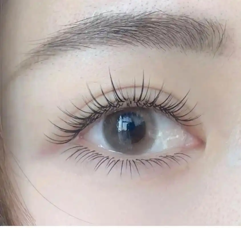 嫁接睫毛的尽头是～单根睫毛.为什么选择单根睫毛?