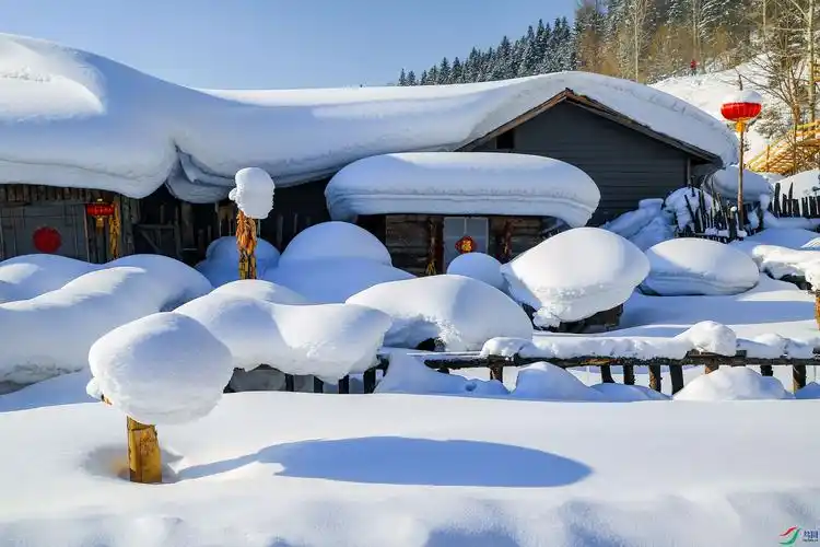 乡村瑞雪,(祝贺镇里人老师荣获首页综合精华)