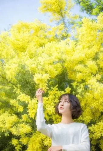 短发韩系女生野外温暖阳光唯美写真