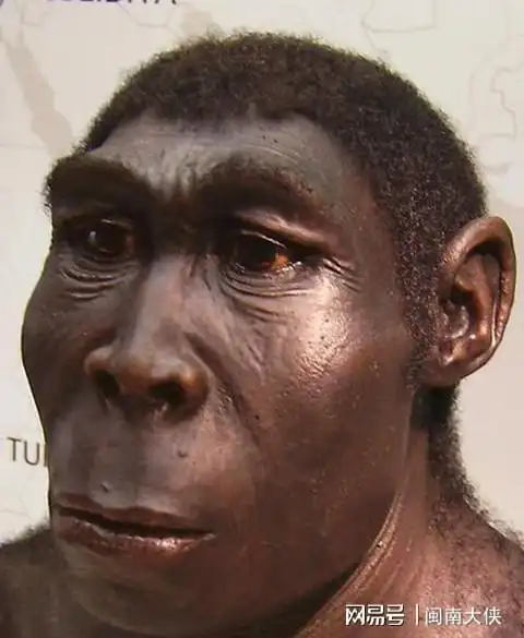 复原了"人类祖先"的外貌,他们和现代人外貌有哪些差距|直立人|智人