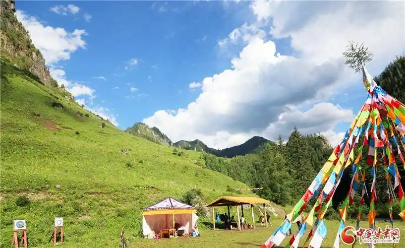 卓尼县大峪沟:相约"山雄石奇" 邂逅"水丽林秀"_景区_开发_甘南州