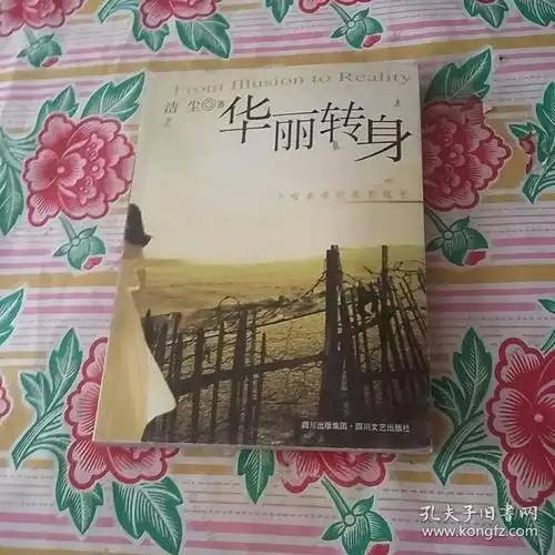 华丽转身(洁尘)_简介_价格_文学书籍_孔网