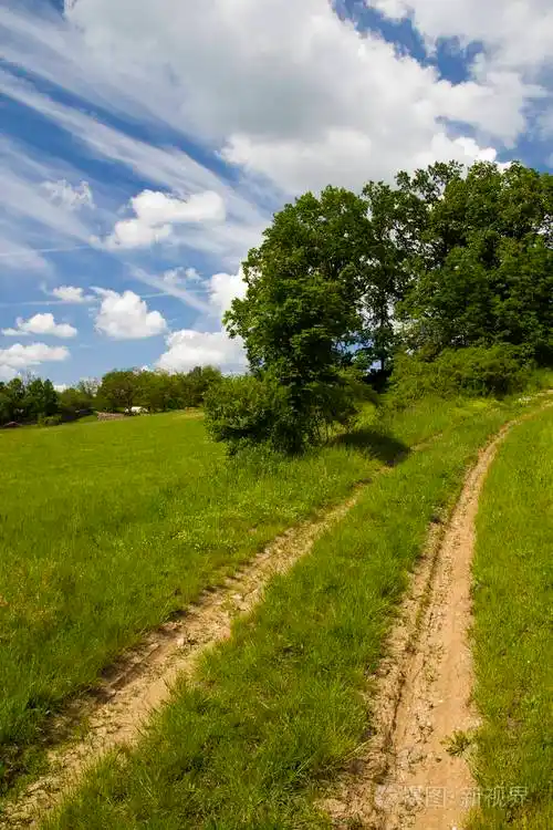 丘陵景观中的绿草场