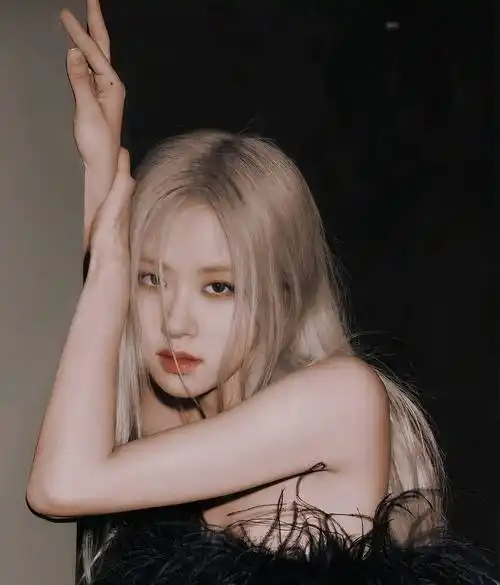 四人四色的blackpink到底为何火遍全球,谁的证件照能惊艳到你?