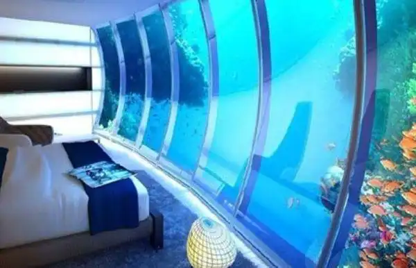 "迪拜一座"十星级"水下酒店,入住一晚3.6万,可与"鱼儿共眠""
