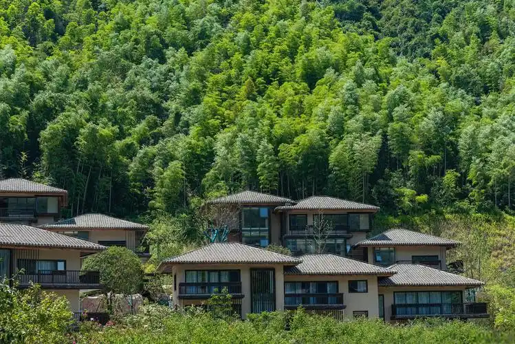 安吉自驾游攻略 安吉被誉为"中国竹乡"的小城,拥有丰富的自然和文化