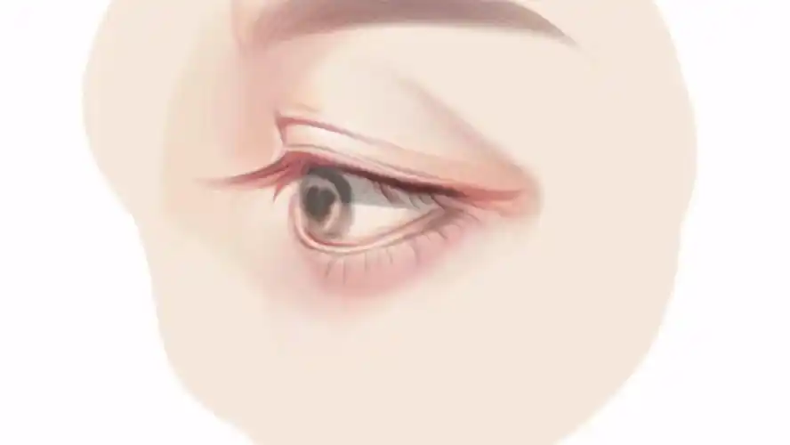 procreate侧面眼睛绘画过程