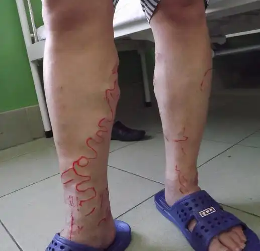 再不学点中医理论,只做当代"医盲",怎么没的都不知道