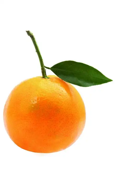 查看大图(源图)