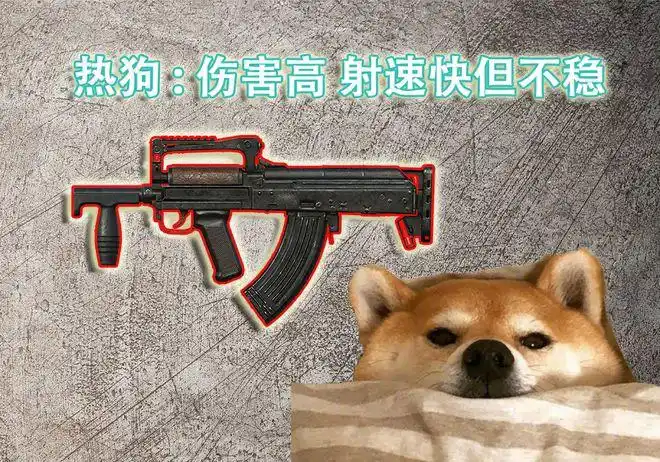 和平精英2020步枪排名狗杂力压aug热狗却独爱dbs