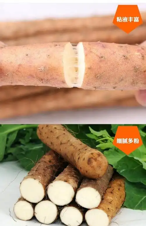 强于 温县沙土铁棍山药 河南焦作新鲜怀淮90公分山药3000g礼盒装_7折