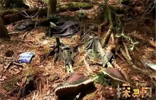 最恐怖的吃人树奠柏一靠近就会被缠绕到窒息而亡