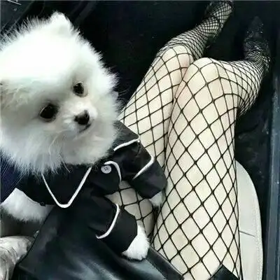 大长腿._微信头像_我要个性网