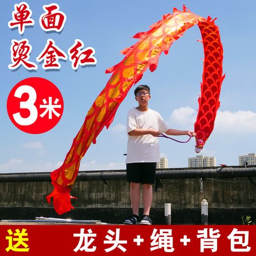 热奥广场健身甩甩龙儿童舞龙彩带甩彩龙彩条初学耍龙健身龙头道具小孩