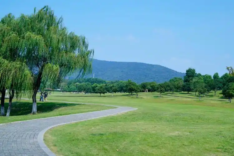 初夏穿行在绿意盎然的钟山体育公园