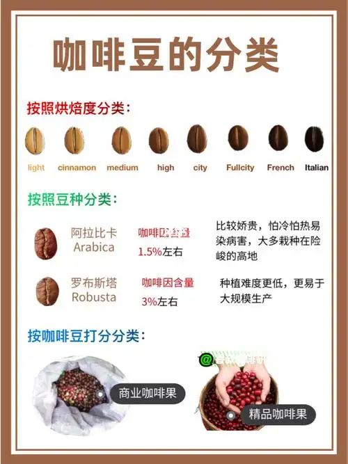 96咖啡豆的分类知识_咖啡豆_咖啡_北京攻略_利比怎么样_美食_美食