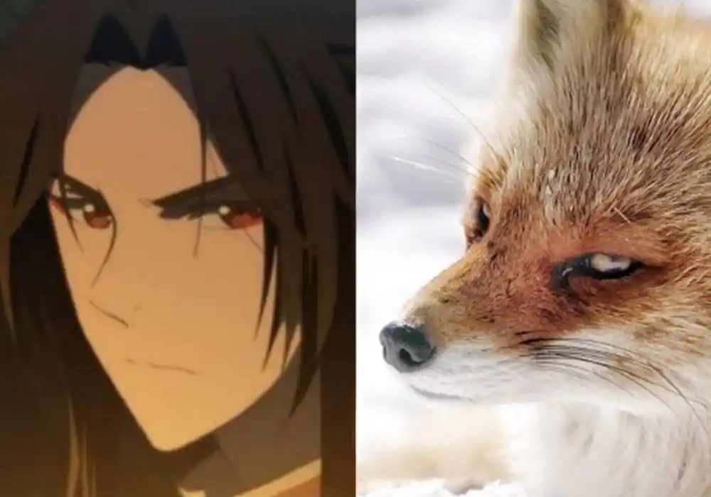 《天官赐福》花城像小狐狸,笑起来好可爱,快点开口喊哥哥!