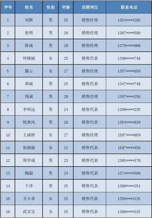 面试人员名单excel表格