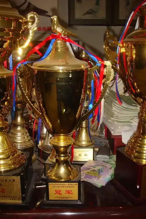 图片说明:中国石油胜利国际赛鸽获奖奖杯