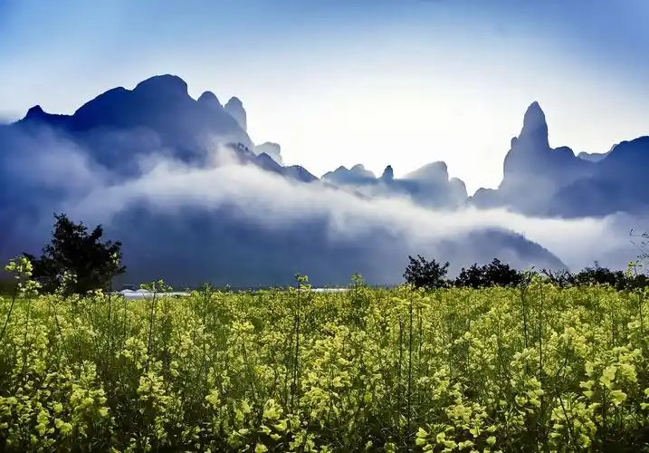 淡竹休闲谷以竹林和瀑布为特色的生态旅游景区,为仙居核心景区之一.