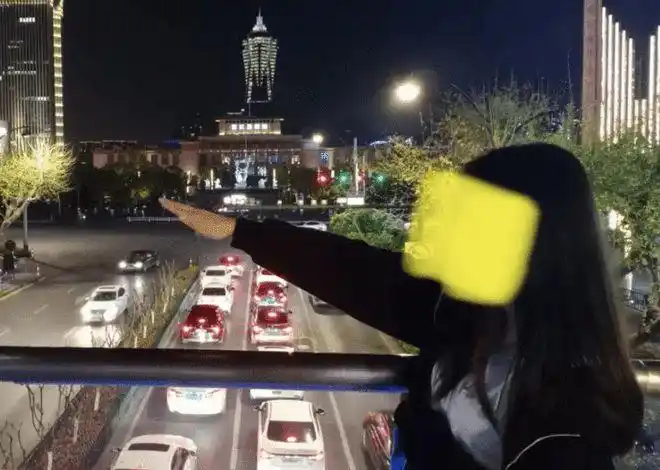 行纳粹礼参拜靖国神社无知张哲瀚必须凉凉