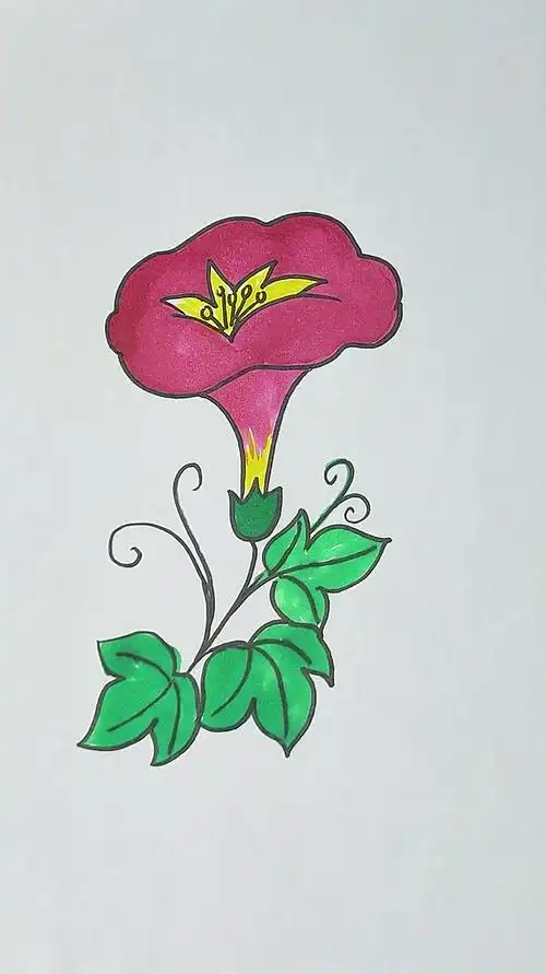 牵牛花简笔画教程简笔画教程