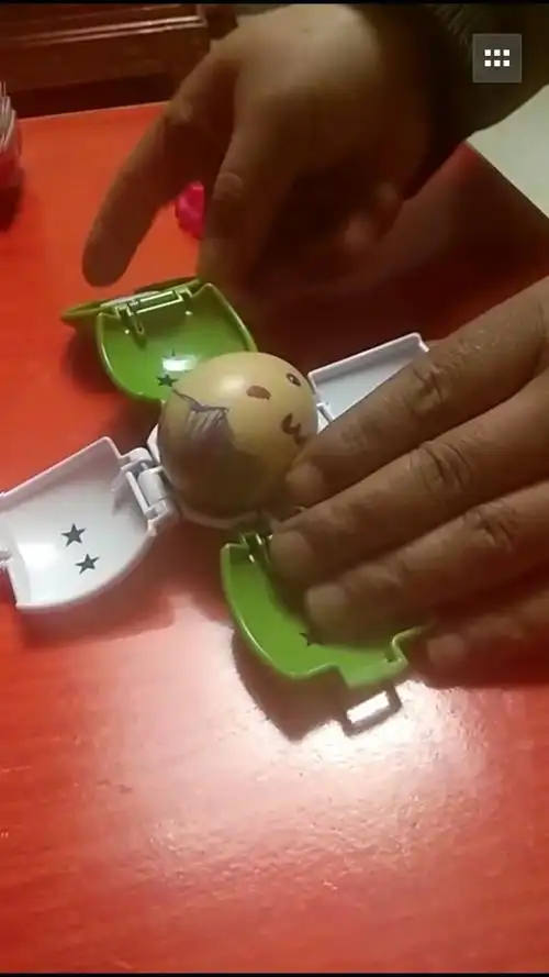 蓝淼淼正东园小一班 保护蛋宝宝