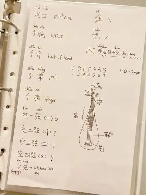 英语娃学琵琶常用语第一把位音阶简谱标记