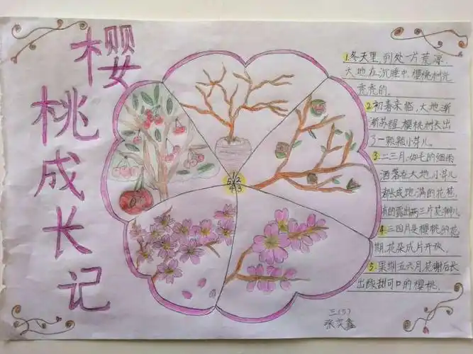 我的植物记录卡