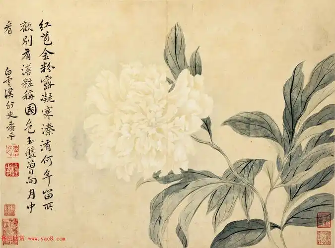 清恽寿平书法字画花卉