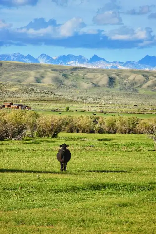 乡村牧场拍摄于美国蒙大拿州