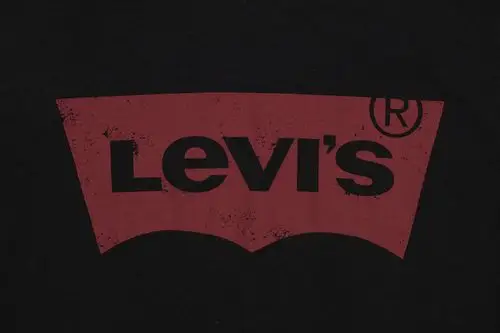 levis/levis 李维斯男士胸前logo圆领短袖棉t恤 美码偏大一码