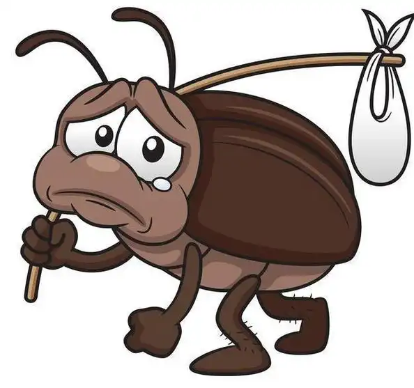 九成人不知蟑螂"最大天敌"是啥?屋里放个它,蟑螂统统"消失"了