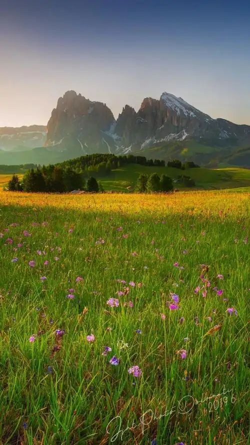 景深合成——获得极致风光大片必须要会的技能_照片