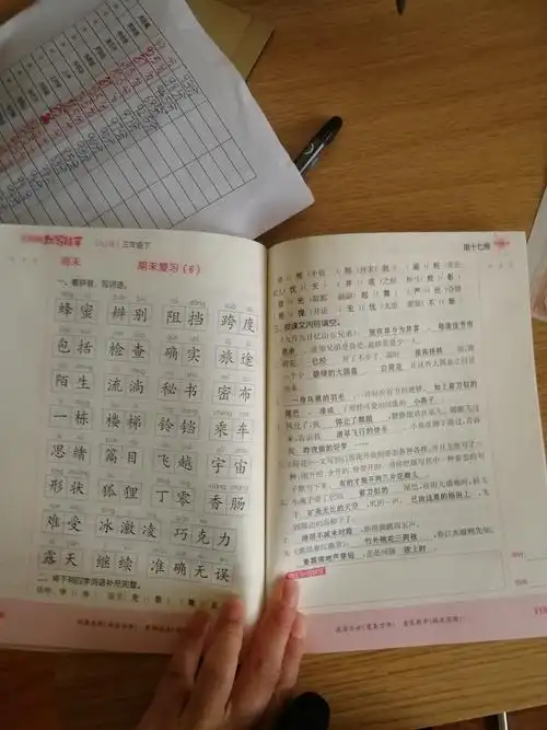 三年级(下册) 默写小能手 29页至完结