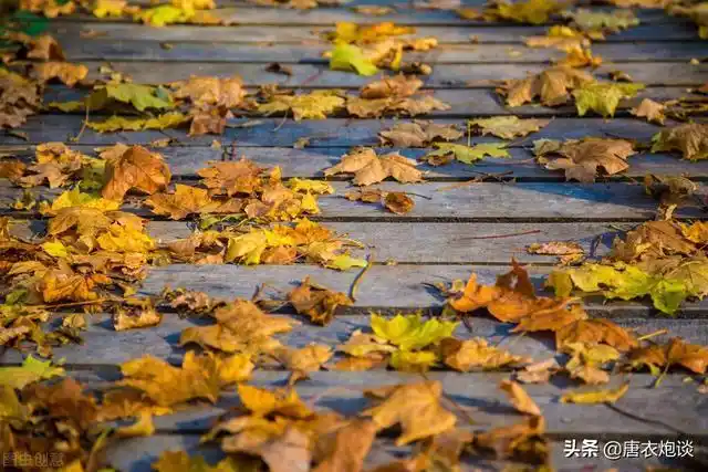 大风秋天吹得阳光乱响
