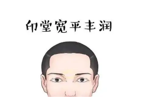 印堂饱满的人运势分析