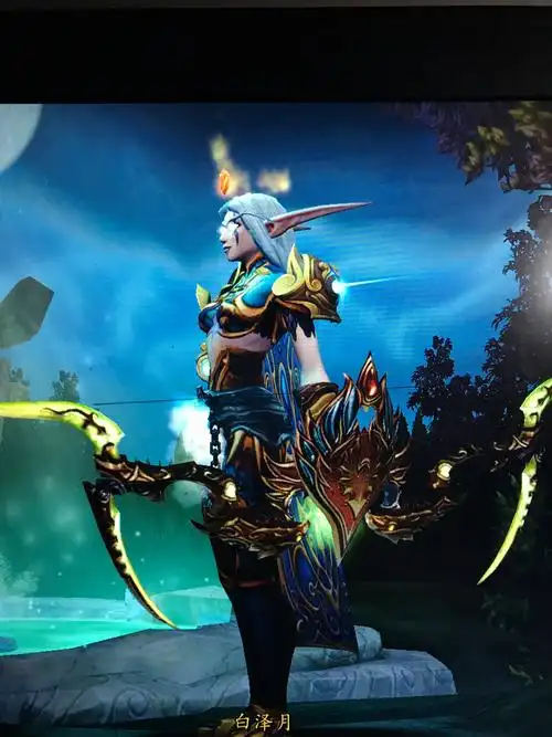 暗夜女猎人,萌新求一套好看点的幻化.